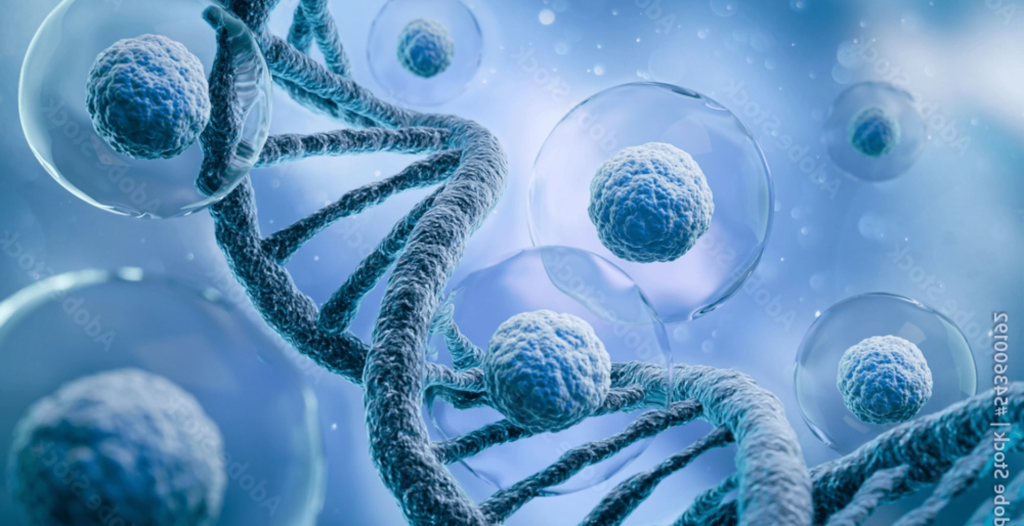 BioWiNS